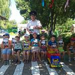 На Кубани более 3000 детей уже стали марафонцами детской дорожной безопасности