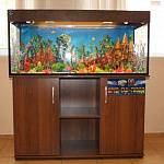 "Юбилейный аквариум" стал подарком для маленьких пациентов Областной больницы от Госавтоинспекции Свердловской области