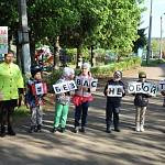 Кировские дошкольники пропагандируют безопасность на дорогах
