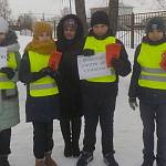 В Новосибирской области юидовцы напомнили пешеходам о правилах дорожной безопасности