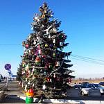 Световозвращающая новогодняя ёлка появилась в Нальчике