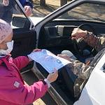В Новгородской области детские письма-обращения стали напоминанием о значимости проявления культуры на дорогах 
