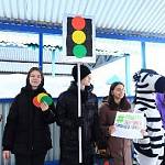 В Самарской области прошла акция «Правила учи - птицам помоги!»