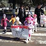 Маленькие пешеходы Кабардино-Балкарии призвали пап за рулём сохранить детские жизни на дорогах