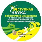 Волонтерские инновации по безопасности дорожного движения в Грушевской средней школе Аксайского района Ростовской области