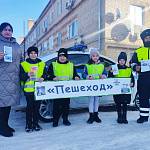 На Ставрополье юидовцы и «молодежные патрули» с помощью агитационных плакатов призывают пешеходов сельских населенных пунктов быть внимательными на зимних дорогах