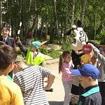 В детском лагере «Солнечный» сотрудники Госавтоинспекции провели игровую программу «Знатоки дорожных правил»