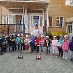 Региональная Госавтоинспекция провела с дошкольниками Новосибирского района игровое мероприятие «Знай дорожный этикет, он отведёт от многих бед»