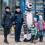 Флешмоб в честь дня рождения пешеходной «зебры» прошел в Кирове