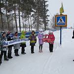 В Новосибирской области сотрудники Госавтоинспекции провели пешеходные экскурсии «Шагающий автобус» 