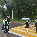 Госавтоинспекторы Бикинского района провели акцию «Юный пешеход»