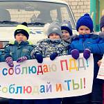 В Краснотуранском районе дошкольники обратились к участникам дорожного движения