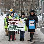 В Кирове сотрудники ГИБДД и волонтеры организовали флешмоб дорожной безопасности 