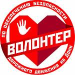 Волонтеры по обеспечению безопасности дорожного движения на Дону на заключительном мероприятии Юных инспекторов движения
