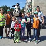 Госавтоинспекторы Новосибирской области совместно с юидовцами провели «Единый день безопасности» в  посёлке Кудряшовский