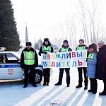 В Республике Алтай автоинспекторы совместно с партийными активистами провели профилактическую акцию «Вежливый водитель!»