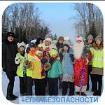 Сотрудники кемеровской Госавтоинспекции совместно с педагогами и юными инспекторами движения нарядили ёлки в городском парке